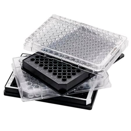 Eppendorf - 951040308